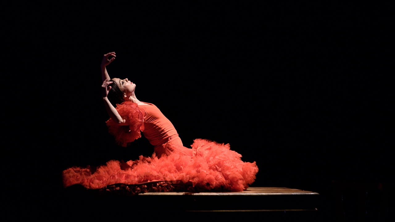 Festival brings the passion and tradition of flamenco to